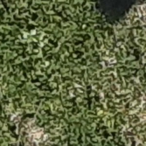 Meet your Posher, Pr3ttyvib3